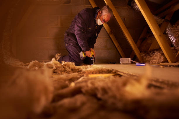 Best Insulation Removal  in Wood Ridge, NJ